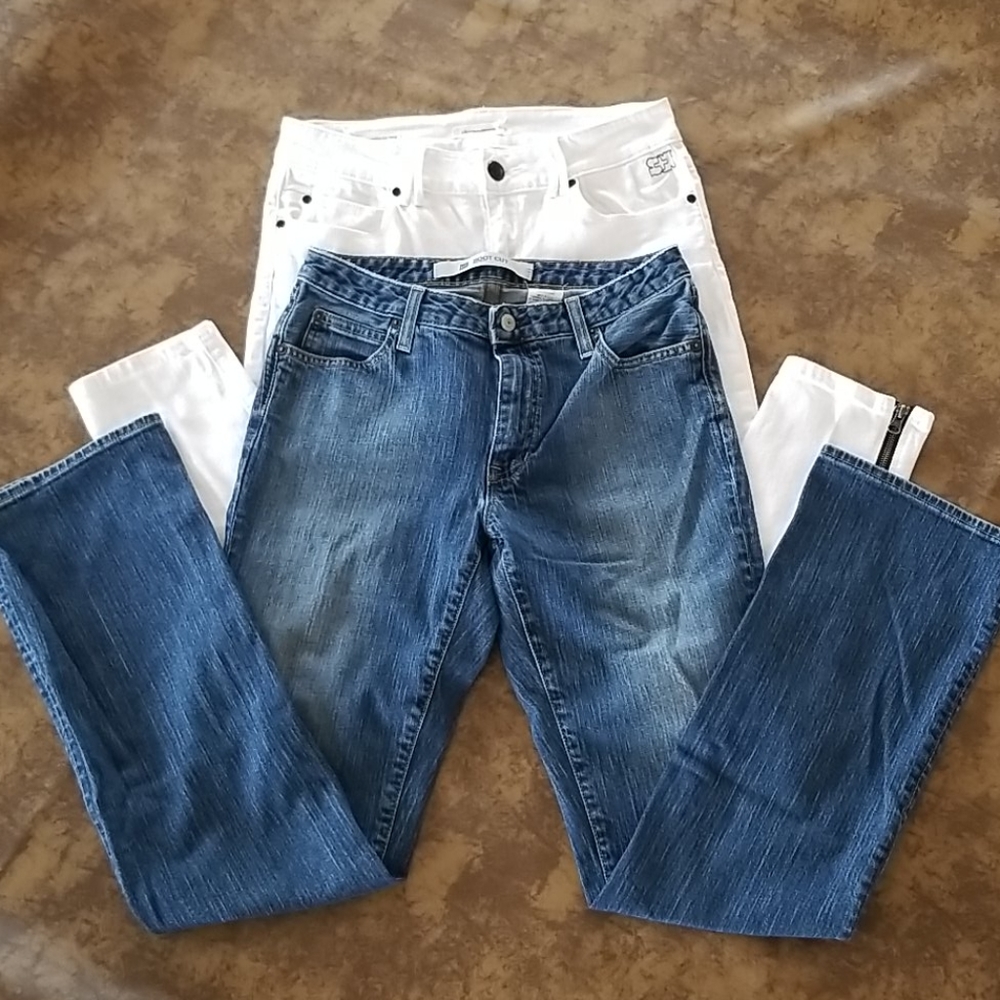 Silence & Noise Ankle Size 29 & GAP Bootcut Size 8L